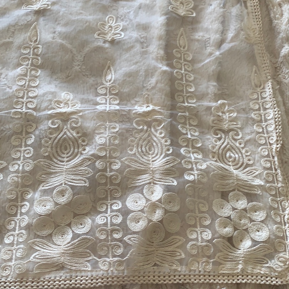 Net dupatta with embroidery